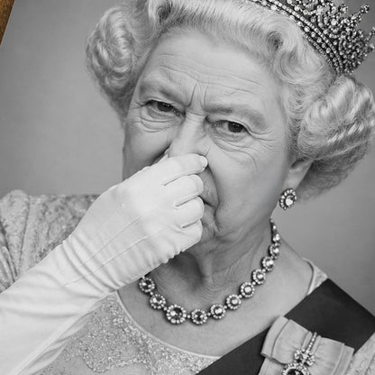Funny Queen Metal Sign Toilet WC Wall Art – Cheeky Royal Portrait Print on Aluminium, Waterproof Gloss Finish, Unique Humour Decor Gift