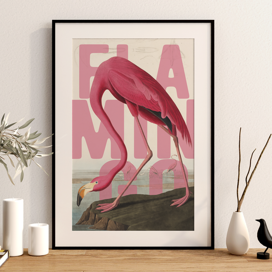 Flamingo Wall Art Vintage Bird Print Pink Coastal Poster Tropical Wildlife Decor Modern Ornithology Artwork