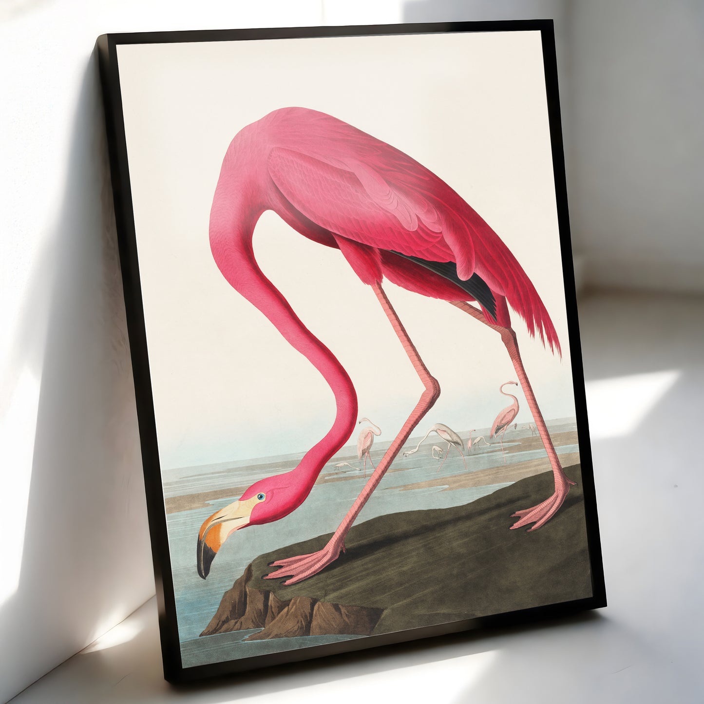 Vintage Flamingo Art Print - James Audubon