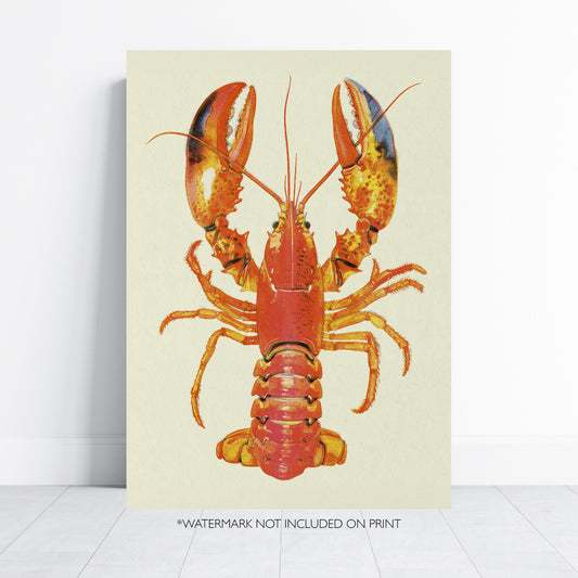 Vintage Lobster Print Coastal Wall Art Nautical Poster Seafood Illustration Beach House Decor Marine Art Kitchen Wall A4 A3 A2 A1