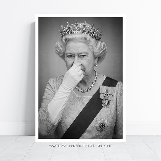 Funny Bathroom Wall Art Queen Holding Nose Print Toilet Humour Poster Vintage Black White Royal Loo Decor WC Wall Art Gift