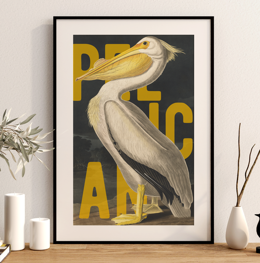 Pelican Wall Art Vintage Bird Poster Coastal Wildlife Print Modern Typography Beach House Decor Ornithology Artwork