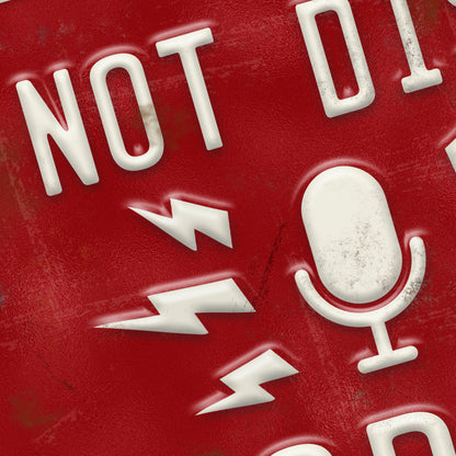 Do Not Disturb Recording Sign You Tube Studio Sign Vintage Metal Wall Sign 200x305mm