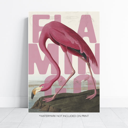 Flamingo Wall Art Vintage Bird Print Pink Coastal Poster Tropical Wildlife Decor Modern Ornithology Artwork