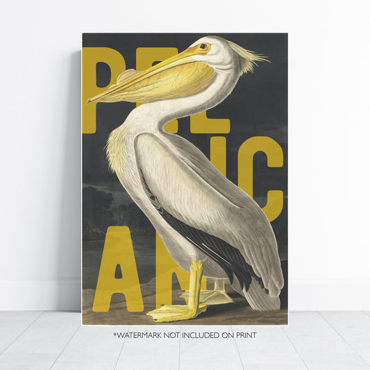 Pelican Wall Art Vintage Bird Poster Coastal Wildlife Print Modern Typography Beach House Decor Ornithology Artwork