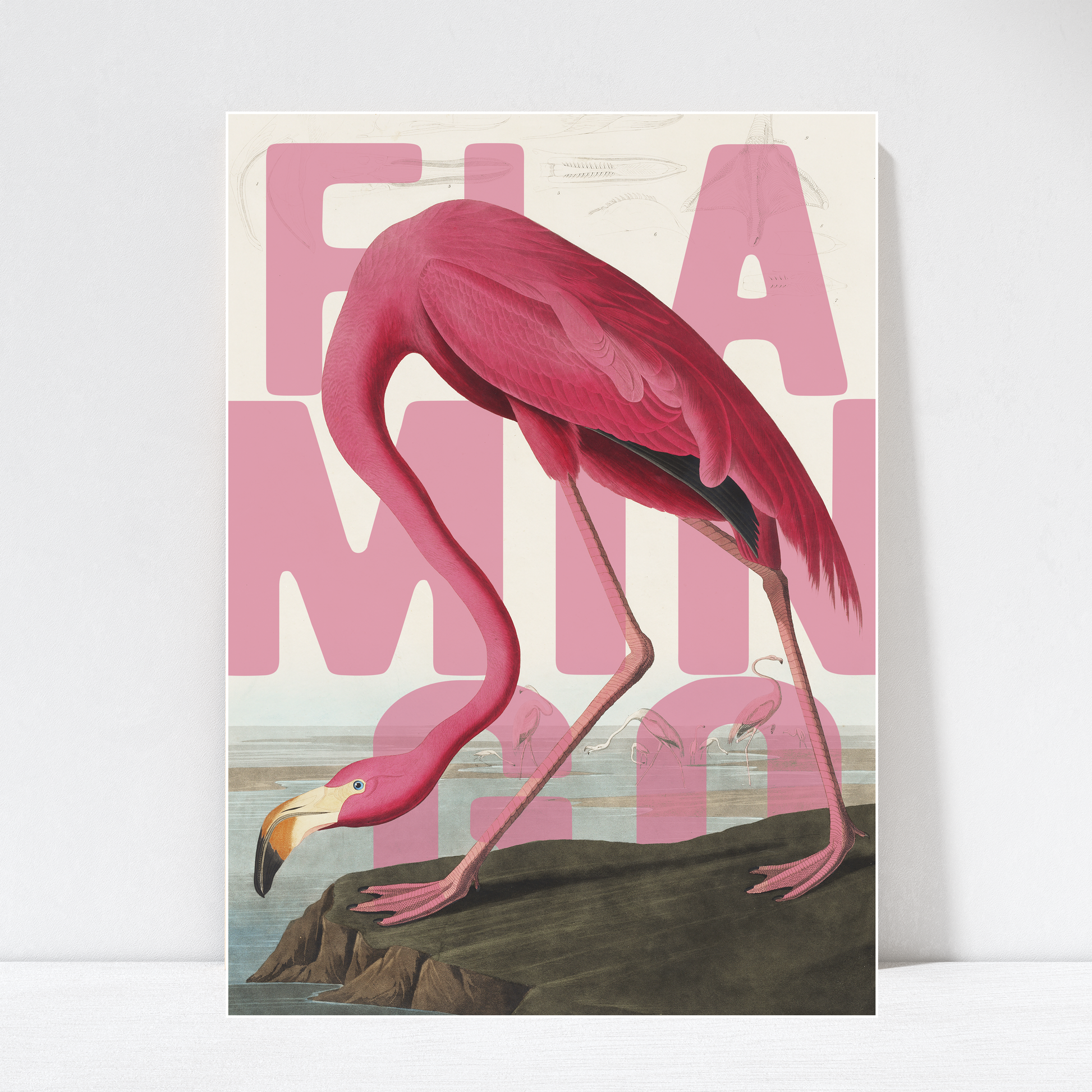 Pink Flamingo Exotic Bird Wall Art Poster Print unframed