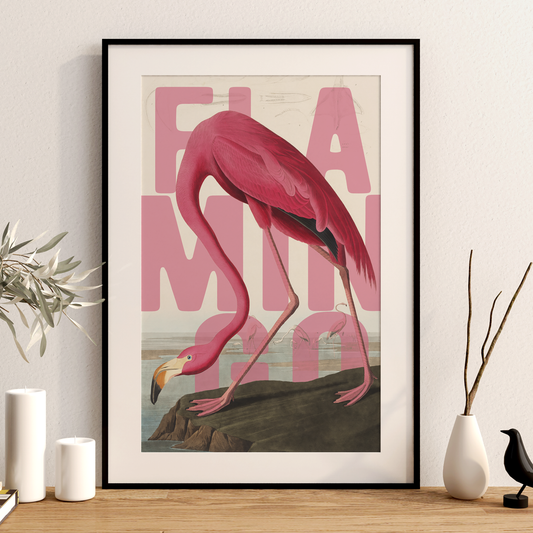 Pink Flamingo Exotic Bird Wall Art Poster Print