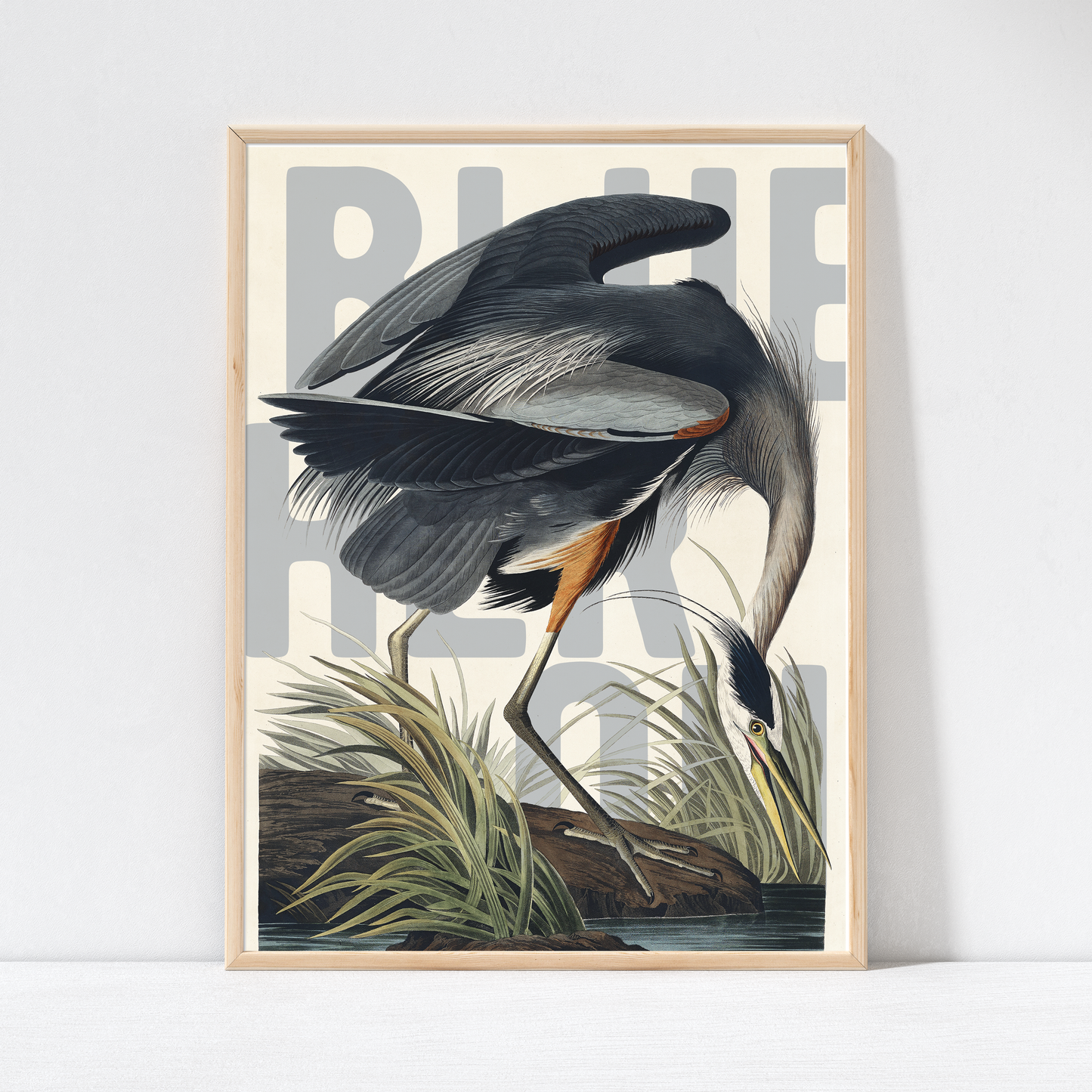 Exotic Bird Wall Art Poster Blue Heron framed