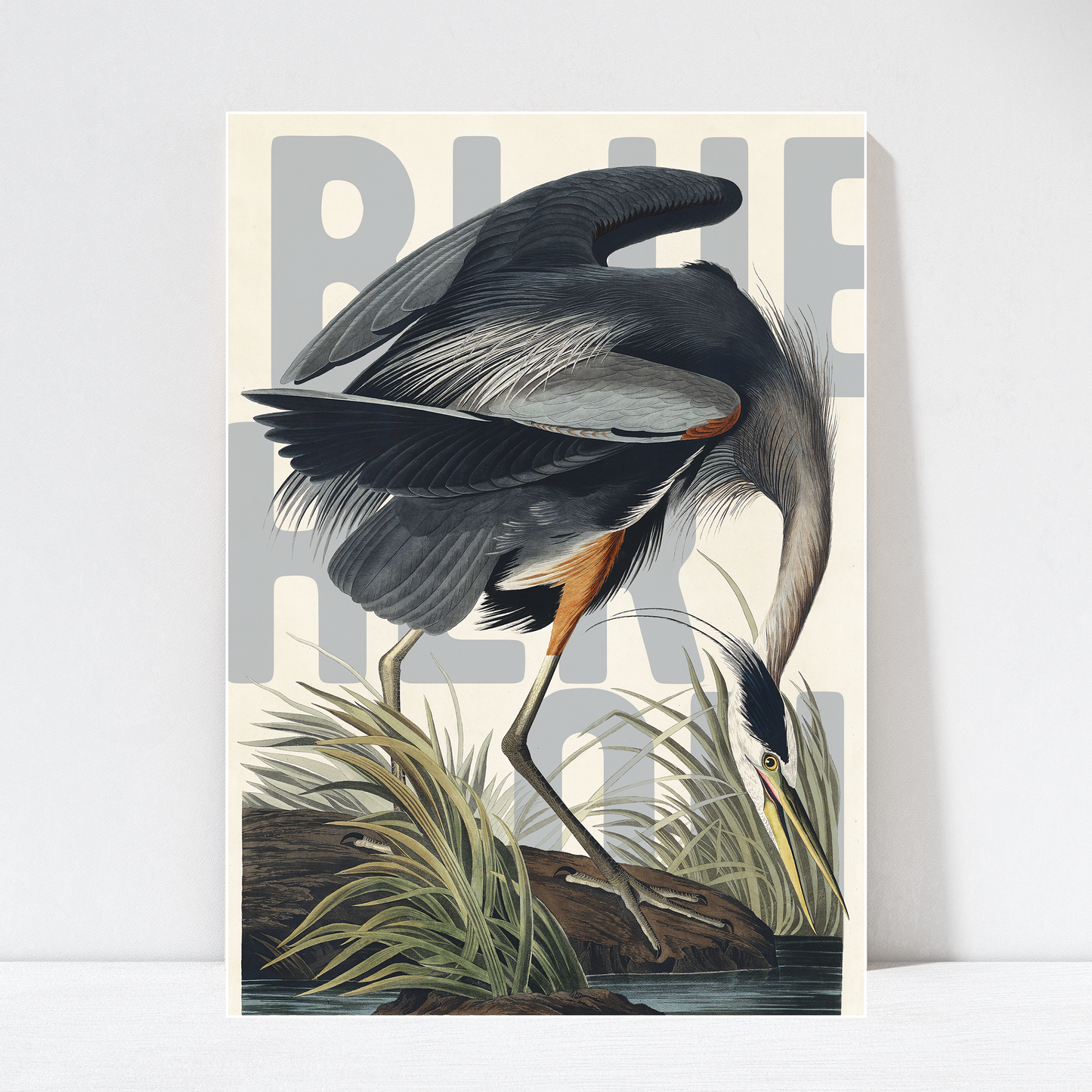 Exotic Bird Wall Art Poster Blue Heron unframed