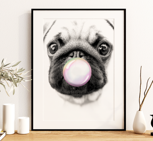Pug Dog Bubble Gum Wall Art Poster Print
