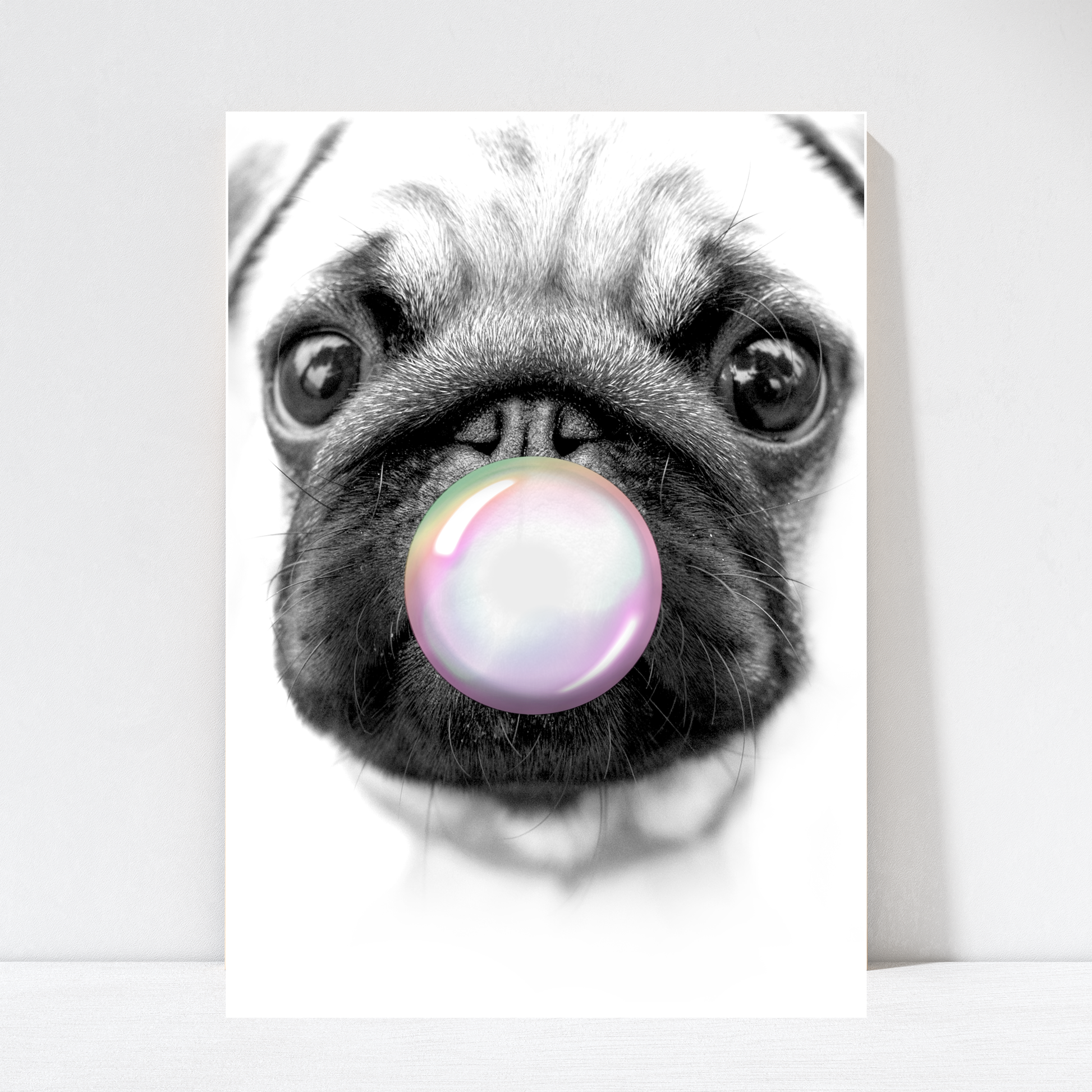 Pug Dog Bubble Gum Wall Art Poster Print unframed