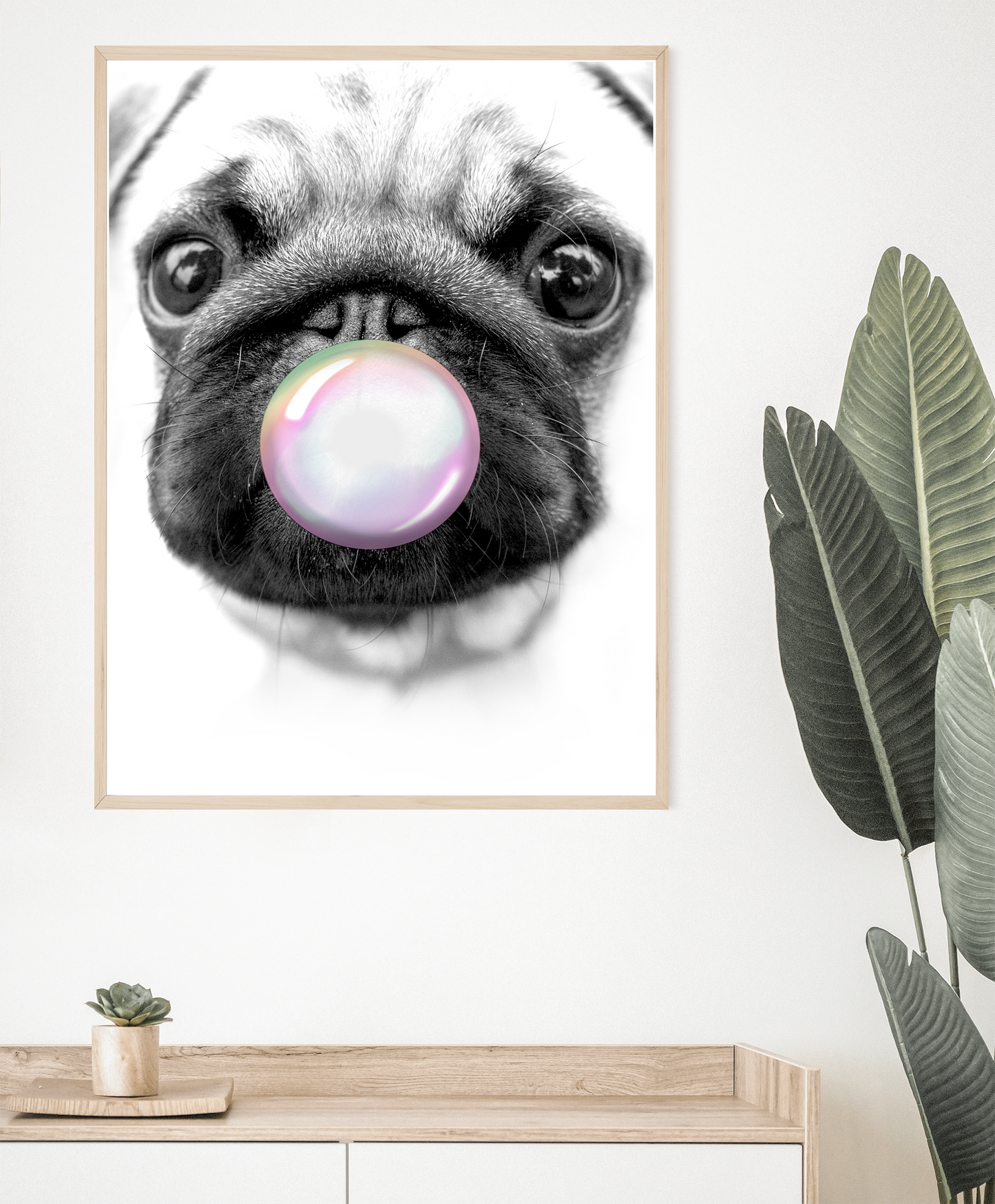 Pug Dog Bubble Gum Wall Art Poster Print pine frame on wall